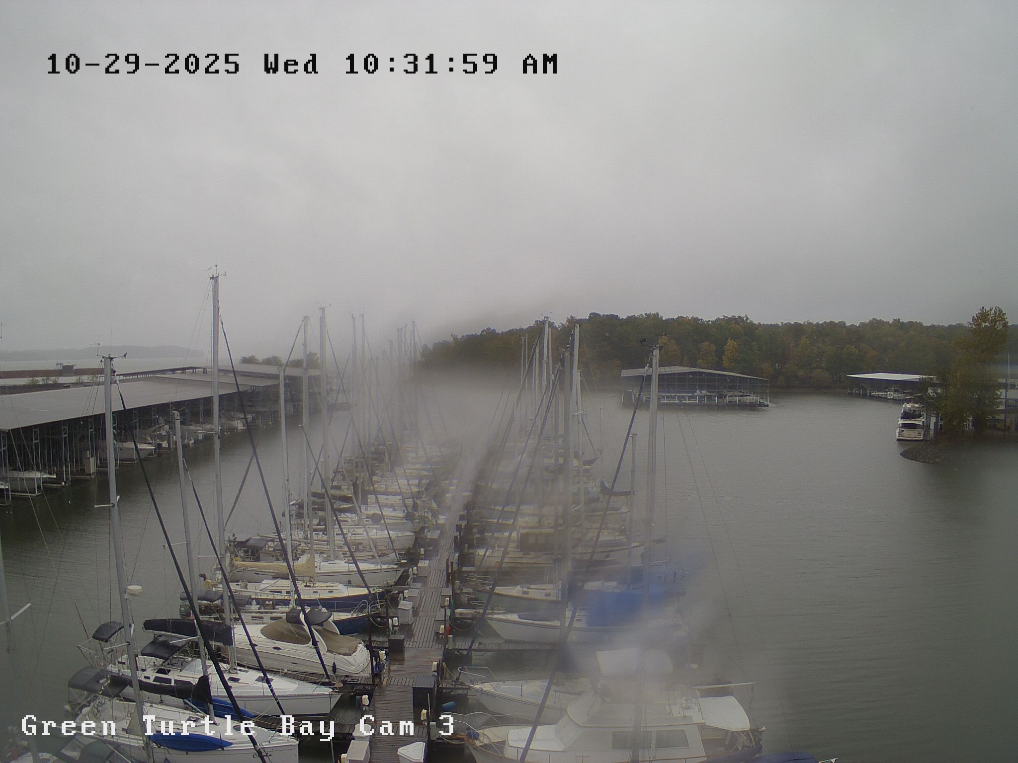 green turtle bay webcam image of docks and boats