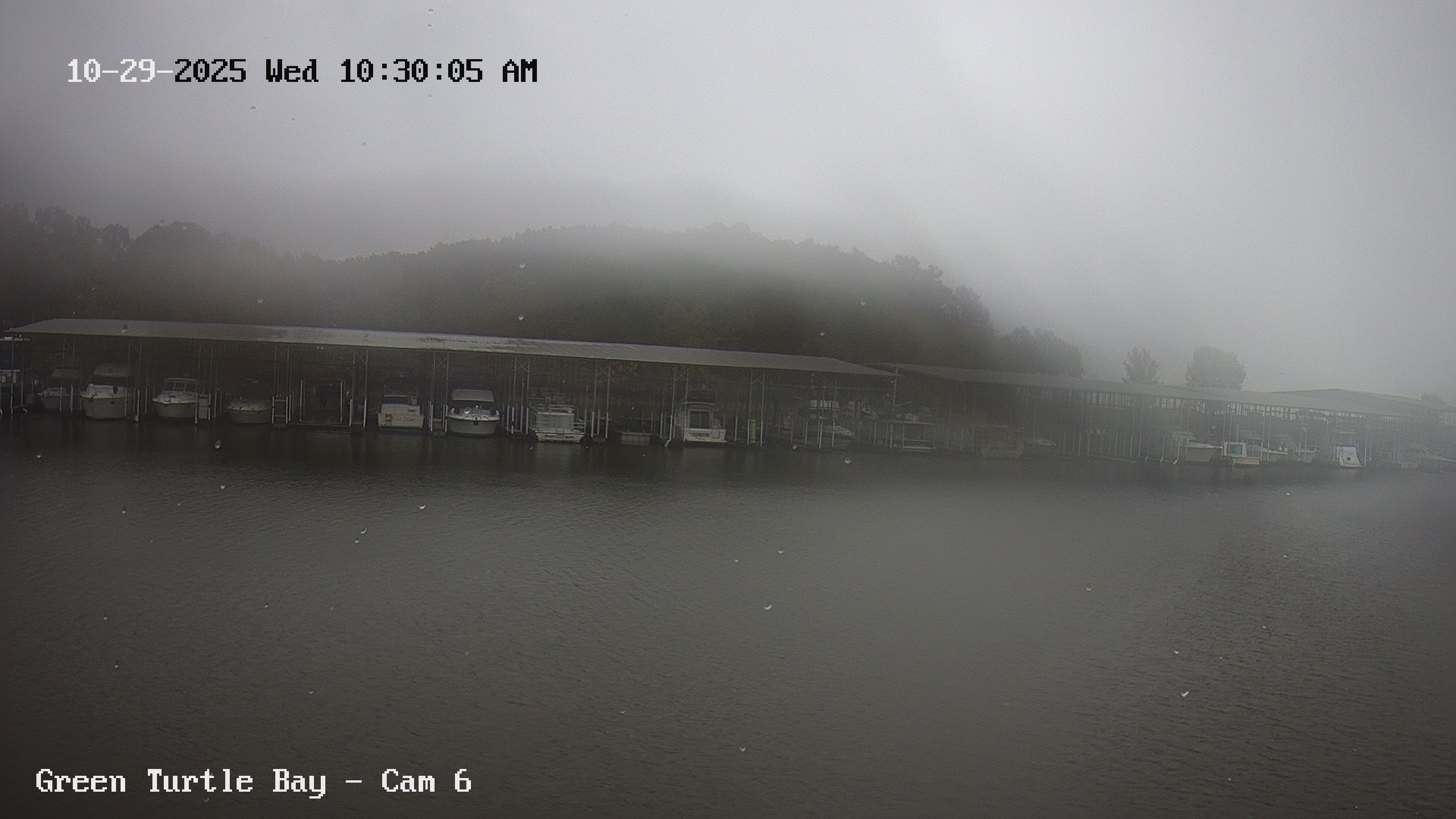 green turtle bay webcam image of docks and boats