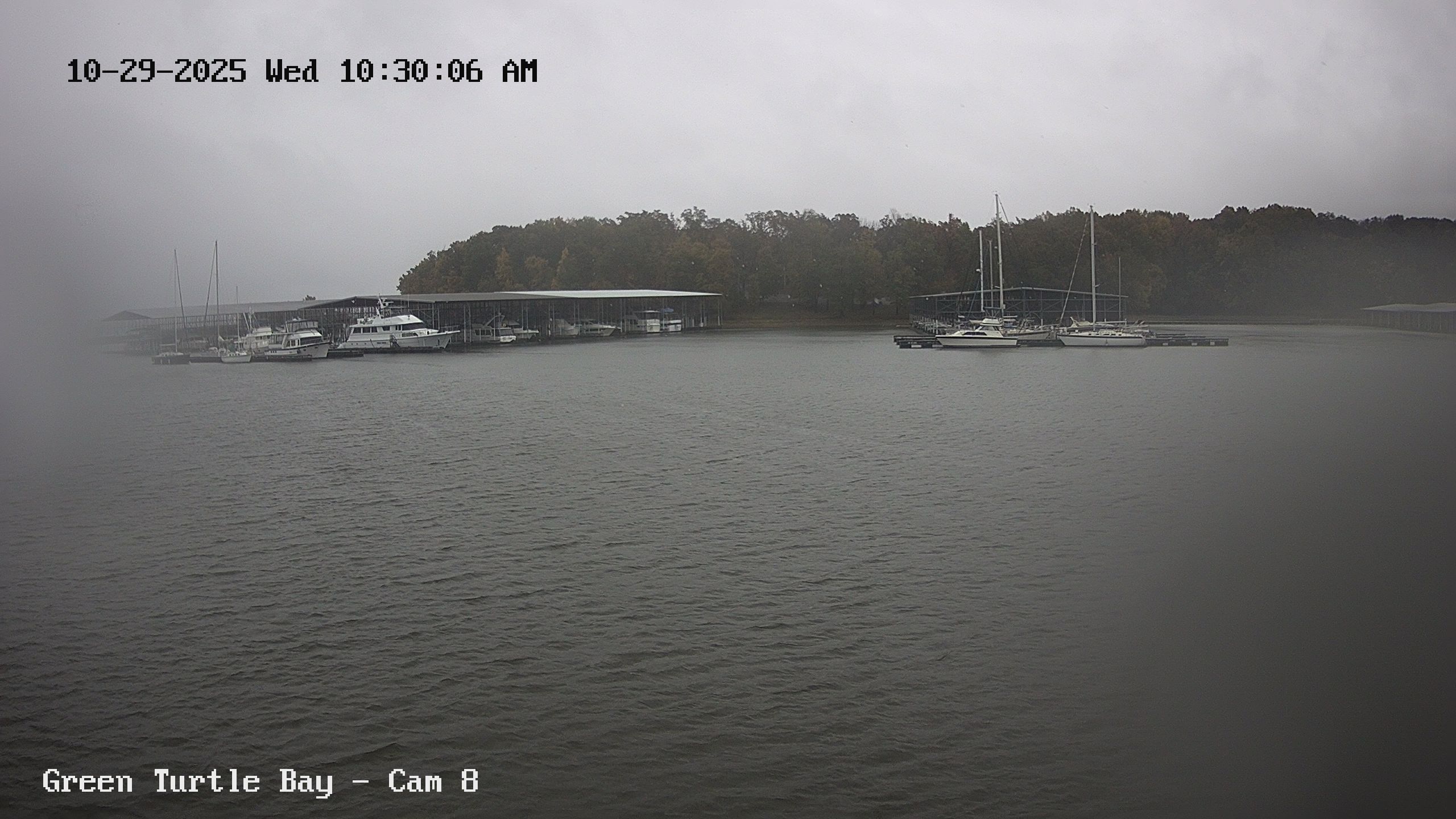 green turtle bay webcam image of docks and boats